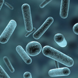 biologie &copy; shutterstock